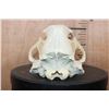 Image 5 : XXL BLACK BEAR Skull