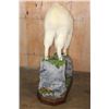 Image 6 : Life-sized MOUNTAIN GOAT on a Decorative Rock Base with Wheels