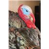 Image 6 : Life-sized "Strutting" TURKEY on a Lightweight Base
