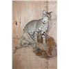 Image 1 : Life-sized BOBCAT on a Wall Hanging Base