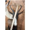 Image 6 : Double SPRINGBOK Table Pedestal Mount, 1 White and 1 Chocolate SPRINGBOK
