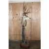 Image 3 : XL 11-Point MULE DEER on a Wood Pedestal with Wheels