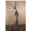 Image 5 : XL 11-Point MULE DEER on a Wood Pedestal with Wheels