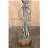 Image 6 : XL 11-Point MULE DEER on a Wood Pedestal with Wheels