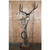 Image 1 : 12-Point MULE DEER on a Wood Pedestal with Wheels