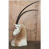 Image 3 : *TEXAS RESIDENTS ONLY* Big SCIMITAR HORNED ORYX Table Pedestal Mount