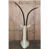 Image 4 : *TEXAS RESIDENTS ONLY* Big SCIMITAR HORNED ORYX Table Pedestal Mount