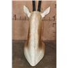 Image 5 : *TEXAS RESIDENTS ONLY* Big SCIMITAR HORNED ORYX Table Pedestal Mount