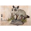 Image 1 : Life-sized BAT-EARED FOX on a Decorative Wall Base