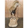 Image 5 : Big Life-sized MOUFLON on a Natural Base