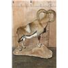 Image 6 : Big Life-sized MOUFLON on a Natural Base