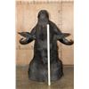 Image 7 : XL CAPE BUFFALO Shoulder Mount