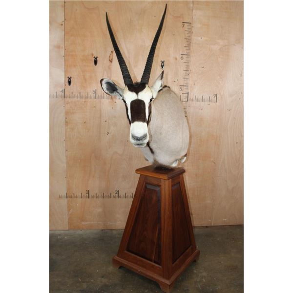 XL GEMSBOK on a Wood Pedestal