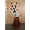 Image 1 : XL GEMSBOK on a Wood Pedestal