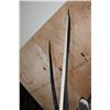 Image 7 : XL GEMSBOK on a Wood Pedestal