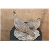 Image 4 : 2 Life-sized BENSON'S QUAIL (Male and Female) on a Driftwood Base