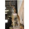 Image 8 : Life-sized BABOON on a Decorative Rock Wall Base