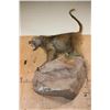 Image 9 : Life-sized BABOON on a Decorative Rock Wall Base