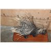 Image 3 : Life-sized AFRICAN PORCUPINE on a Wood Plaque Base