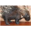Image 4 : Life-sized AFRICAN PORCUPINE on a Wood Plaque Base