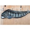 Image 1 : Big Reproduction ATLANTIC WOLFFISH Mount