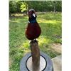 Image 2 : RING-NECKED PHEASANT Mounted on a Wood Post Base