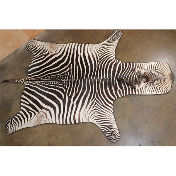 ZEBRA Hide Rug with Leather Piping and Carpet Backing