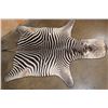 Image 1 : ZEBRA Hide Rug with Leather Piping and Carpet Backing