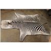 Image 2 : ZEBRA Hide Rug with Leather Piping and Carpet Backing