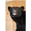 Image 4 : XXL Life-sized BLACK BEAR on a Decorative Rock Base with Wheels