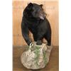 Image 5 : XXL Life-sized BLACK BEAR on a Decorative Rock Base with Wheels