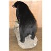 Image 6 : XXL Life-sized BLACK BEAR on a Decorative Rock Base with Wheels
