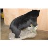 Image 7 : XXL Life-sized BLACK BEAR on a Decorative Rock Base with Wheels