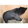 Image 8 : XXL Life-sized BLACK BEAR on a Decorative Rock Base with Wheels