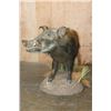Image 4 : Life-sized AFRICAN BUSH PIG on a Natural Base