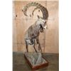 Image 4 : Big Life-sized NUBIAN IBEX on Wood Base
