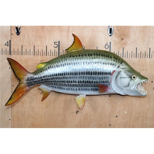 XL Reproduction AFRICAN TRIGGERFISH Mount