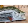 Image 3 : XL Reproduction AFRICAN TRIGGERFISH Mount