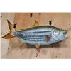 Image 6 : XL Reproduction AFRICAN TRIGGERFISH Mount