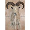Image 1 : AOUDAD Shoulder Mount