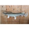 Image 11 : Huge ALLIGATOR GAR Reproduction Fish Mounted on Driftwood