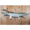 Image 1 : Huge ALLIGATOR GAR Reproduction Fish Mounted on Driftwood