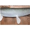 Image 3 : Huge ALLIGATOR GAR Reproduction Fish Mounted on Driftwood