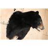 Image 3 : XL BLACK BEAR Shoulder Mount
