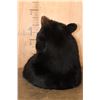 Image 6 : XL BLACK BEAR Shoulder Mount