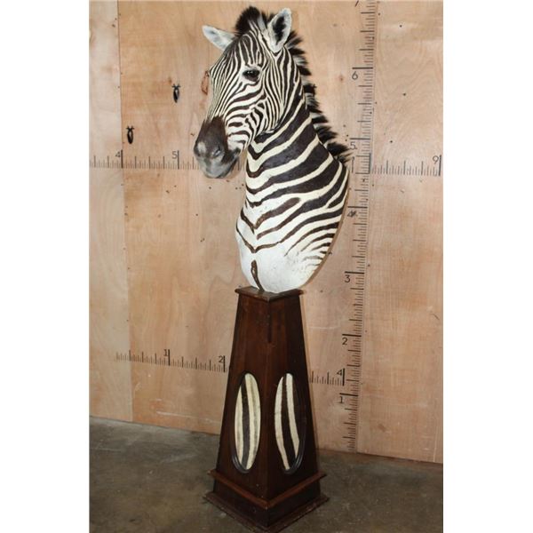 Big ZEBRA Pedestal Mount with ZEBRA Hide Panels