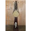 Image 6 : Big ZEBRA Pedestal Mount with ZEBRA Hide Panels