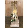 Image 8 : XXL 178-7/8 Scored Life-sized DESERT SHEEP on a Decorative Base with Wheels