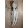 Image 2 : XL WALRUS Skull Mask with its Ivory Tusks Mounted on a Wood Plaque