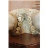 Image 6 : XL WALRUS Skull Mask with its Ivory Tusks Mounted on a Wood Plaque